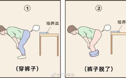 脱裤子放屁可能会传播细菌！
