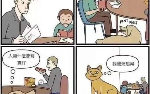 你应该像猫一样思考 ​​​​