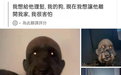 害怕 ​​​​