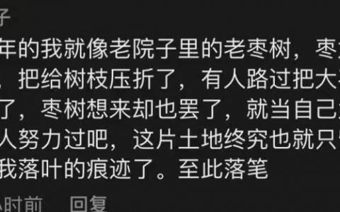 以鲁迅的文笔写辞职单