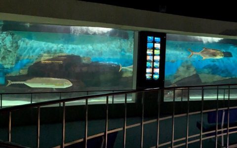 尝试在水族馆里用全景模式拍照......