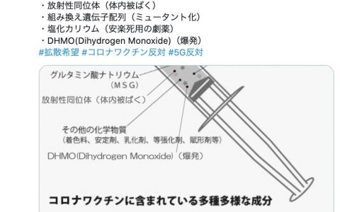 一张广泛流传于日本反疫苗人士之间的新冠疫苗成分分析图