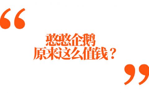 44只企鹅1876万，卖企鹅如何大发横财？