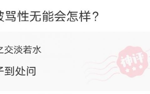 网友的评论有多损