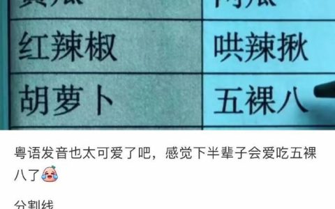 港粤人看了也迷糊