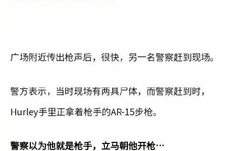 最近美国发生了一起无比离谱的枪击案