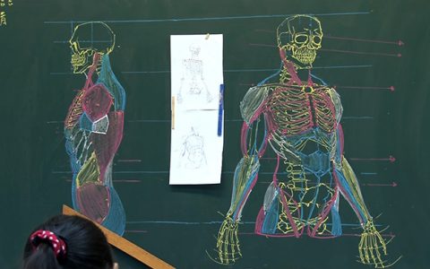 大学老师的惊人解剖学板书。