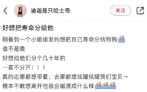 他好像想要你全部寿命哈哈哈哈哈哈哈 ​​​​