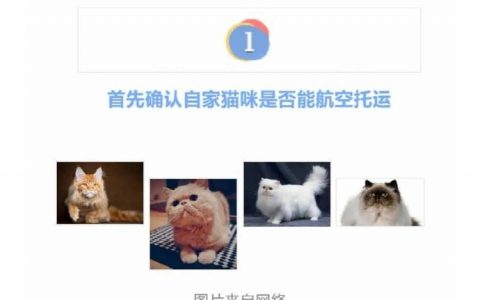 不要再选无良宠物托运机构了！