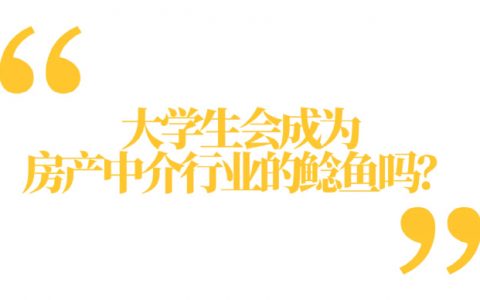 为什么越来越多大学生去做房产中介？