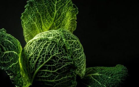 你吃过最绝望的食物是什么？