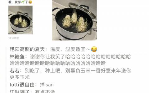 玉米：我谢谢你啊