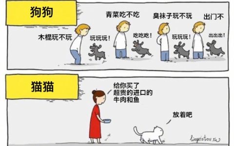 人类与猫狗相处现状： ​​​​