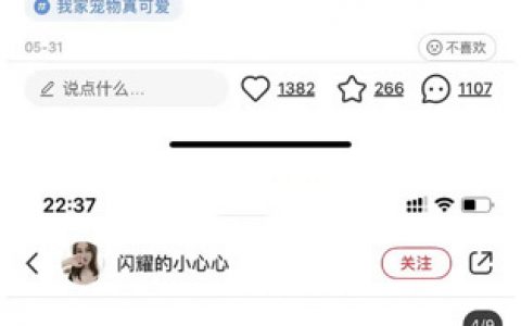 你永远不知道父母能把宠物养成啥样