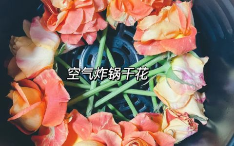 空气炸锅自制干花