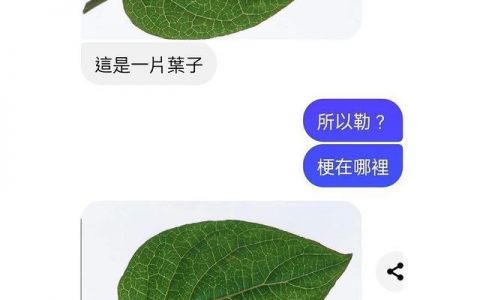 转载一些莫名其妙的笑话