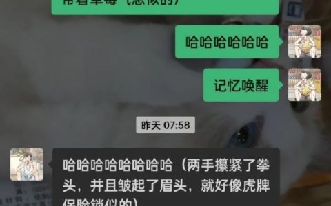 这是在说些什么？（两条刚毅的眉毛轻轻皱在了一起，狭长的凤眼眯了起来，眼里闪过一丝迷惑。）