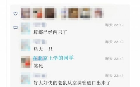 永远猜不到南方校园里有啥