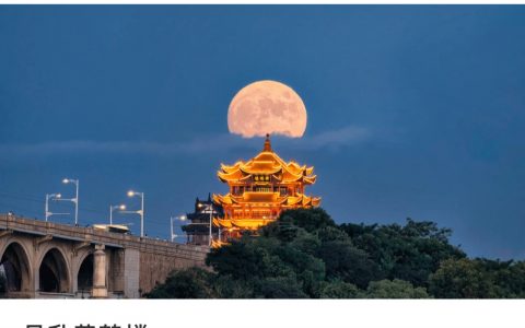 分享一下你镜头下的中秋月亮吧