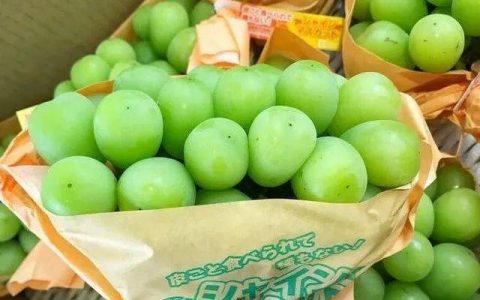 “葡萄界爱马仕” 三国杀