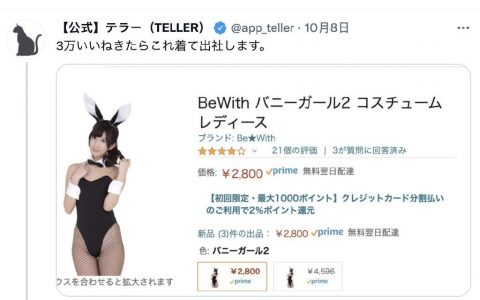 青春猪头少年会变成兔女郎