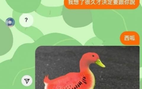 笑啦，企鹅肉