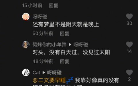 你在梦里都有过什么经历