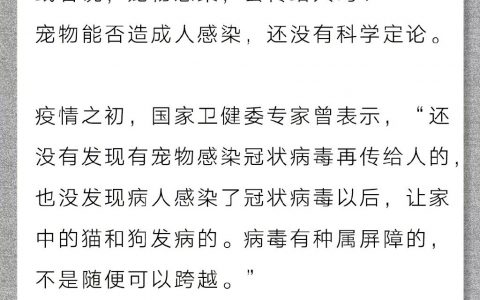 “隔离宠物狗被扑杀” ：别拿别人的宠物当畜生