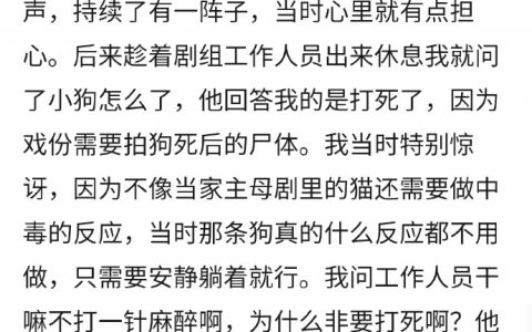 一个镜头，一条生命