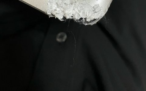 养狗人的电脑