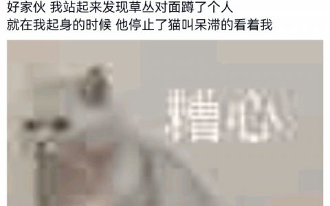 双向奔赴了