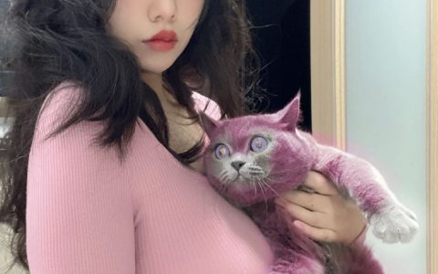 猫太大抱不动了 ​​​​