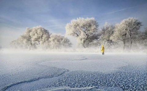 通辽市民早起发现积雪堆到二楼：破 70 年纪录的雪直接让一楼 “消失”