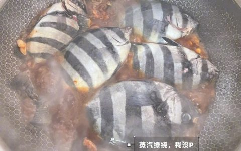这鱼是从监狱里捞出来的吗？