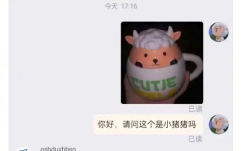 商家自己都不知道在卖什么