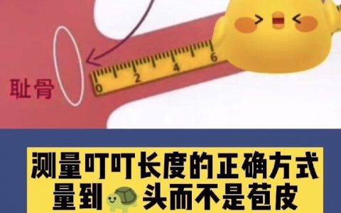 男生如何正确测量“叮叮”长度：