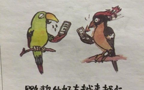 啄木鸟的好朋友们文化水平也变得越来越高，因为啄木鸟喜欢捉虫