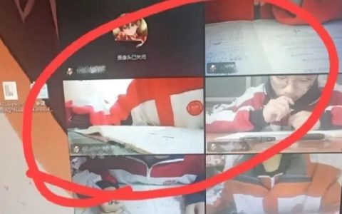 属实把网课上明白了