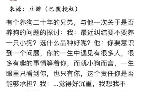 当你确定收养它们的那一刻起，就该做好为它们负责一生的准备。 ​​​​