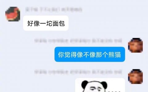 外国人以为中国人喜欢的熊猫vs中国人真正喜欢的熊猫。