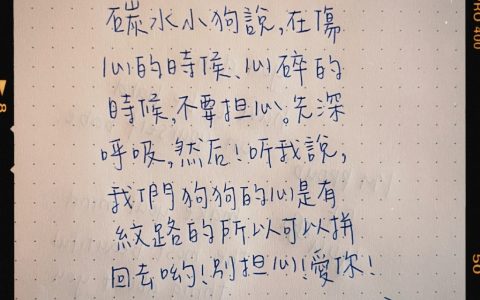 欧阳娜娜的手抄小狗文学