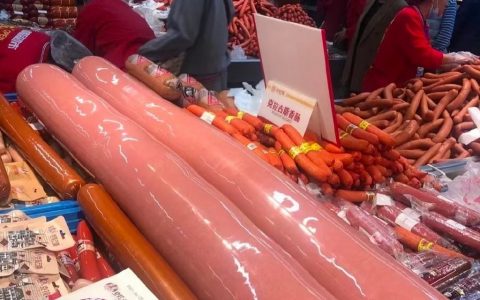 什么巡航导弹肠