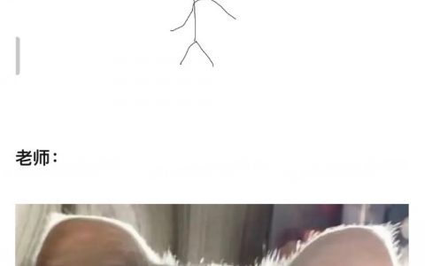 这位兄弟一定很会wave吧