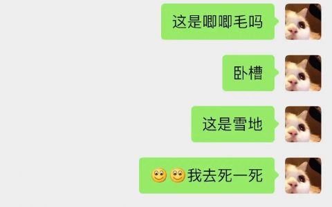 夜深人静缓缓入眠的时候就会想起的那句唧唧毛