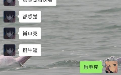 我不是最后一个知道肖申克是监狱名的吧