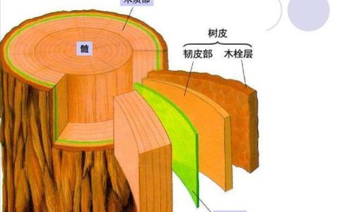 万万没想到，有一天我能看到这种科普，就又好笑又心酸