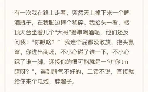 留几手：我为什么离开东北