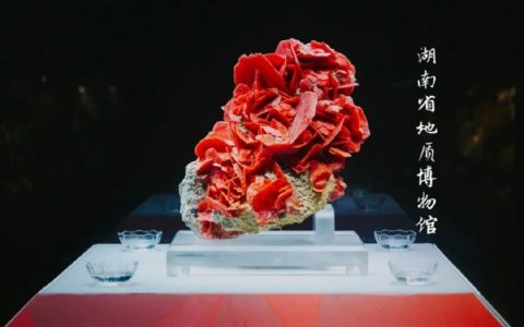 大自然是真敢造啊！
