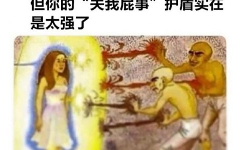 你的护盾是什么