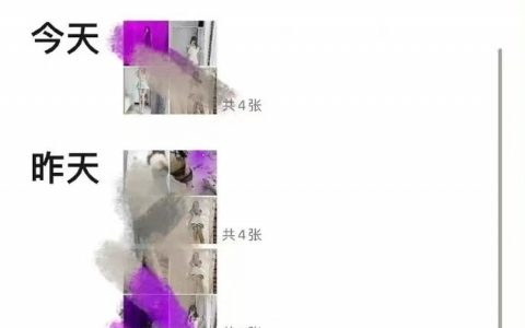 这种店算不正规的吗？